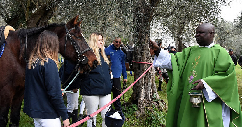 Benedizione degli Animali a Valdicastello Carducci