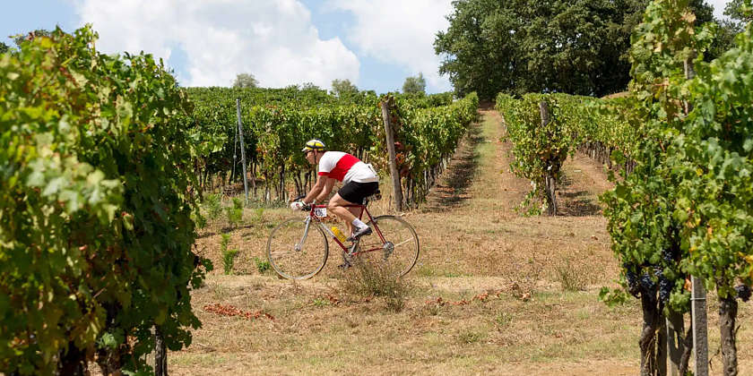 LA VINARIA - Ciclostorica