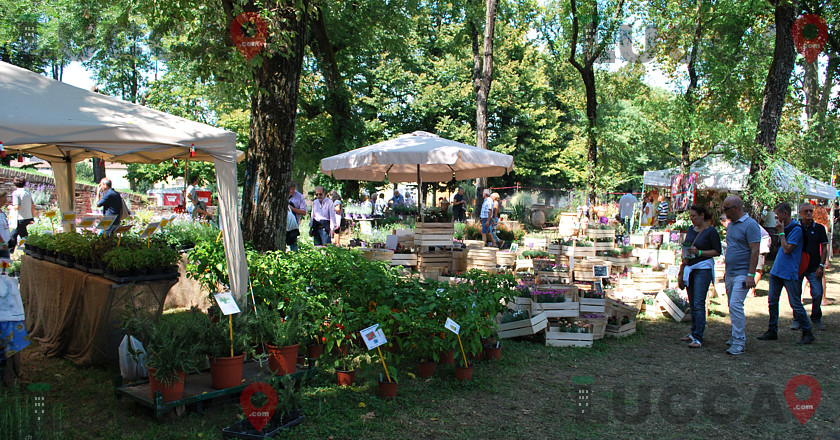 Murabilia 2024 - Mostra mercato fiori, piante e giardinaggio di qualità