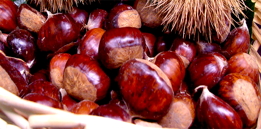 Castagnate, sagre e feste della castagna per rivivere le antiche tradizioni lucchesi
