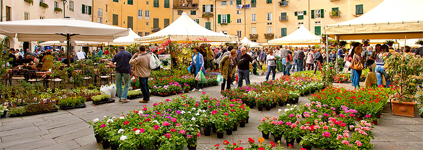 Festa di Santa Zita: il Centro Storico si copre di fiori e di dolci