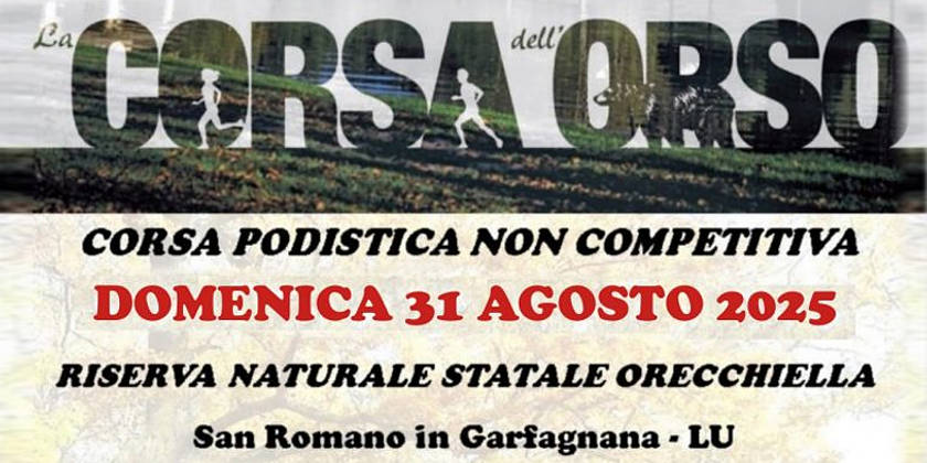 La Corsa dell'Orso