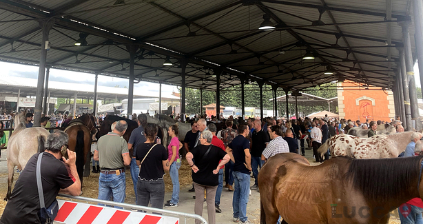 Settembre Lucchese 2025 - Fiere ed Eventi