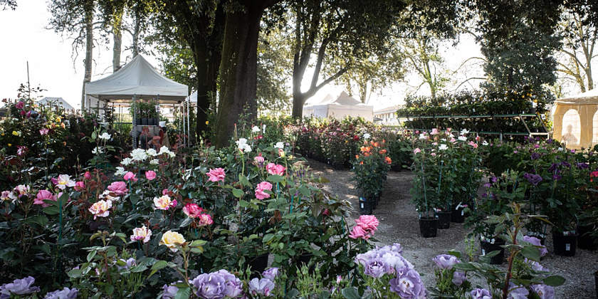 VERDEMURA 2026 - XVII EDIZIONE