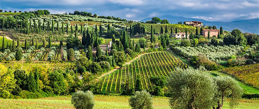 Via Vinaria 2026, Montecarlo brinda alla sua storia del vino