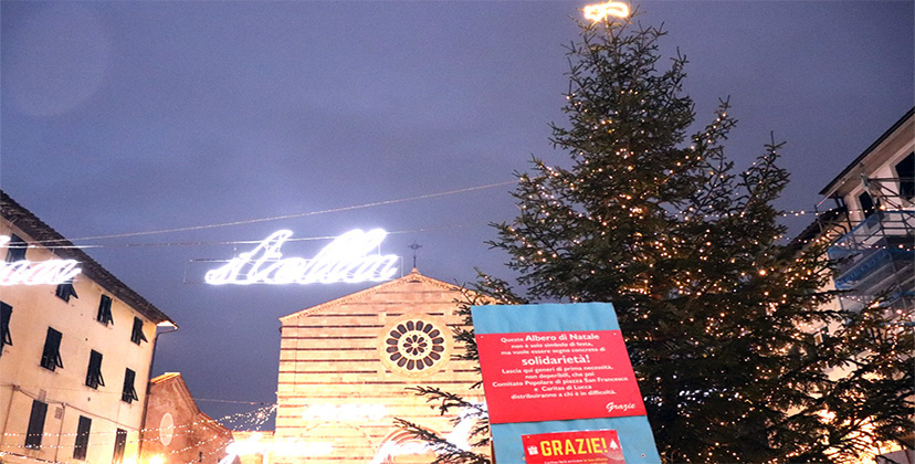 Albero della Bontà in Piazza San Francesco