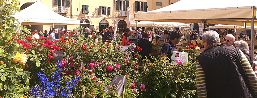 Mostra mercato dei fiori e dei dolci<br> per la tradizionale 